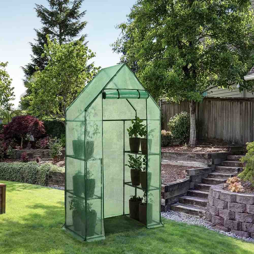 Walk-In Greenhouse: image 2