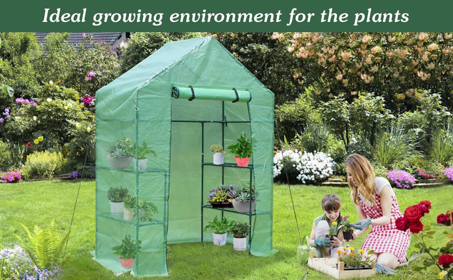 Walk-In Greenhouse: image 9