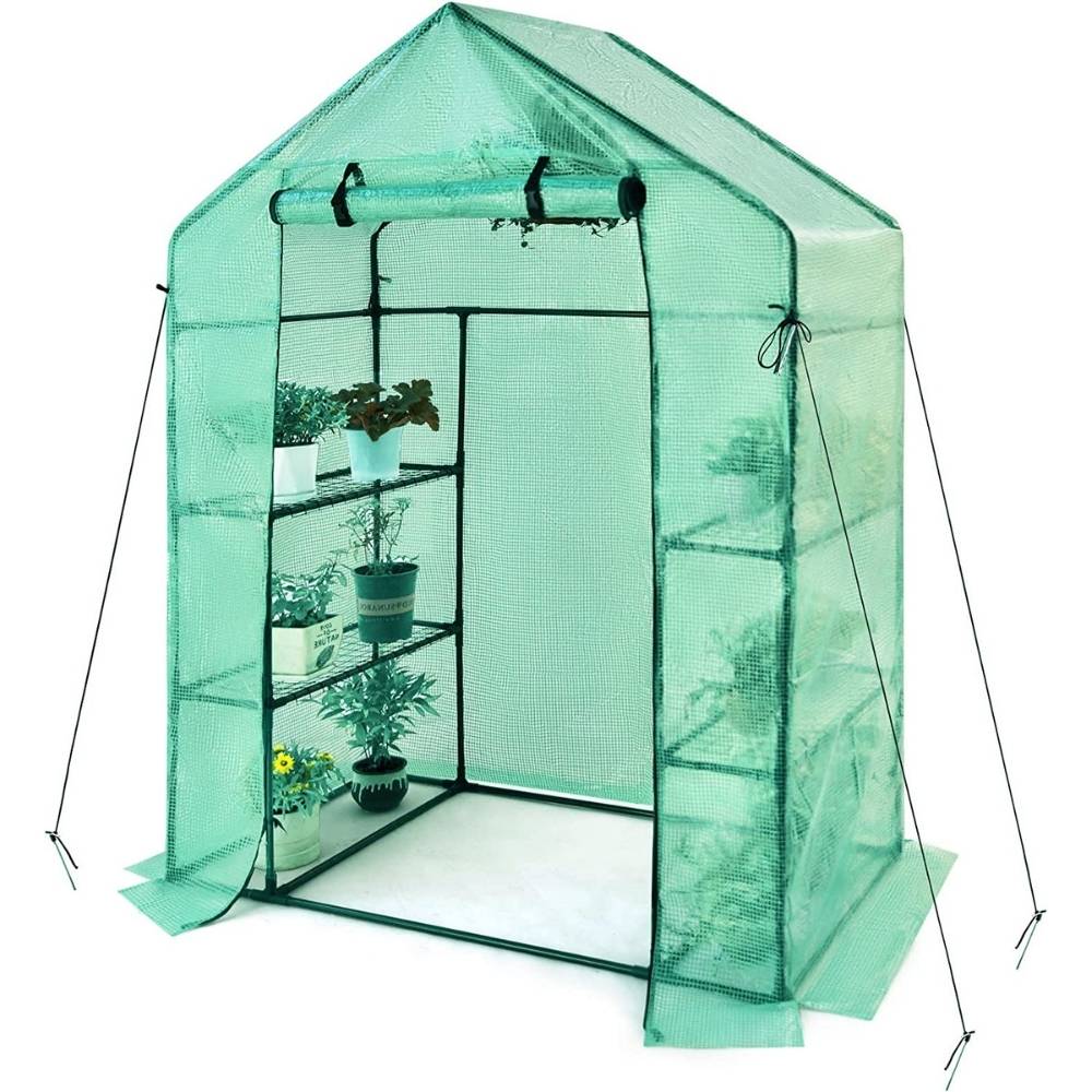 Walk-In Greenhouse: image 13