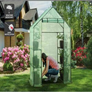 Walk-In Greenhouse