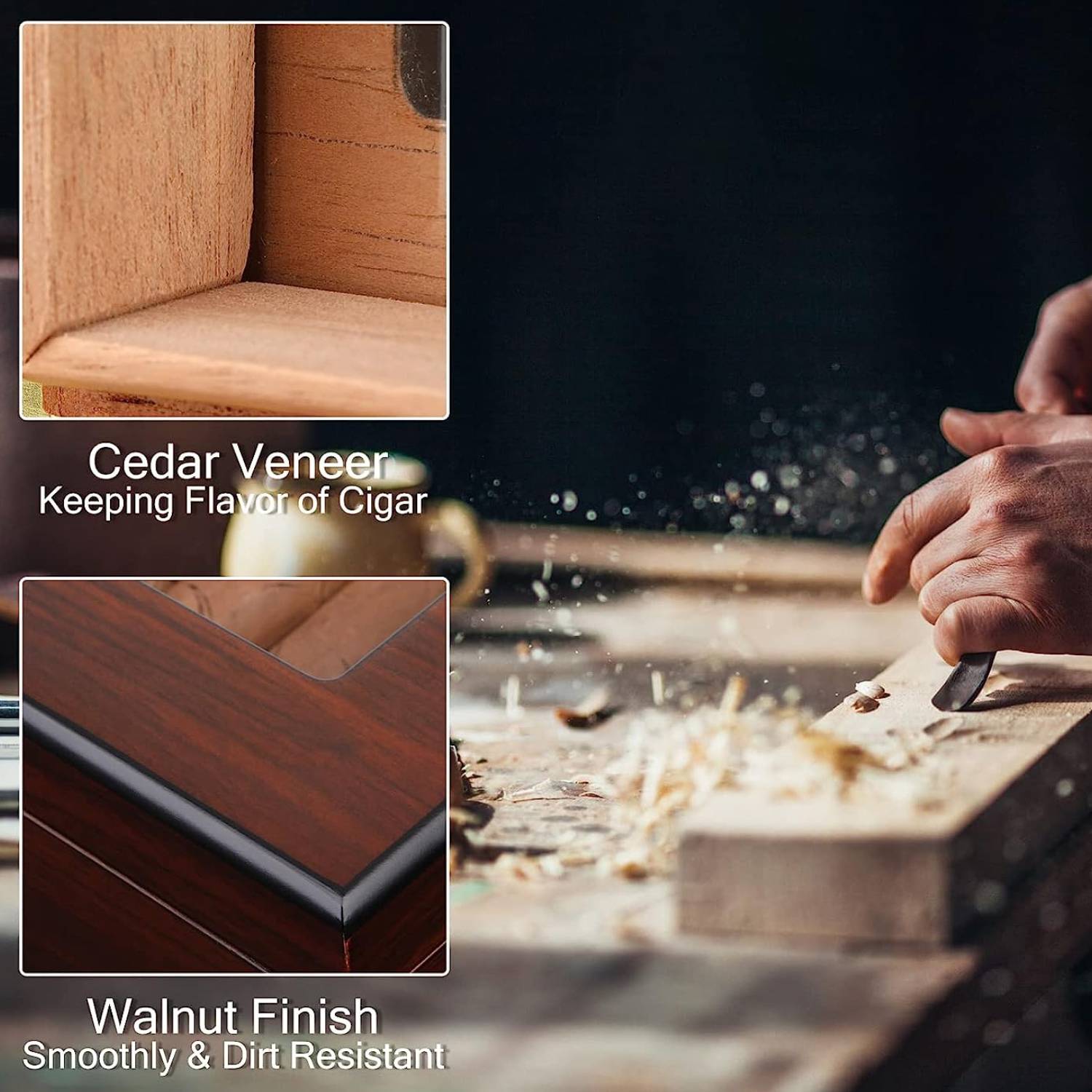 Cigar Humidor: image 4