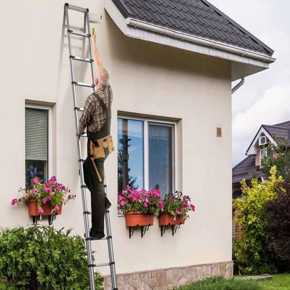 Telescopic Ladder