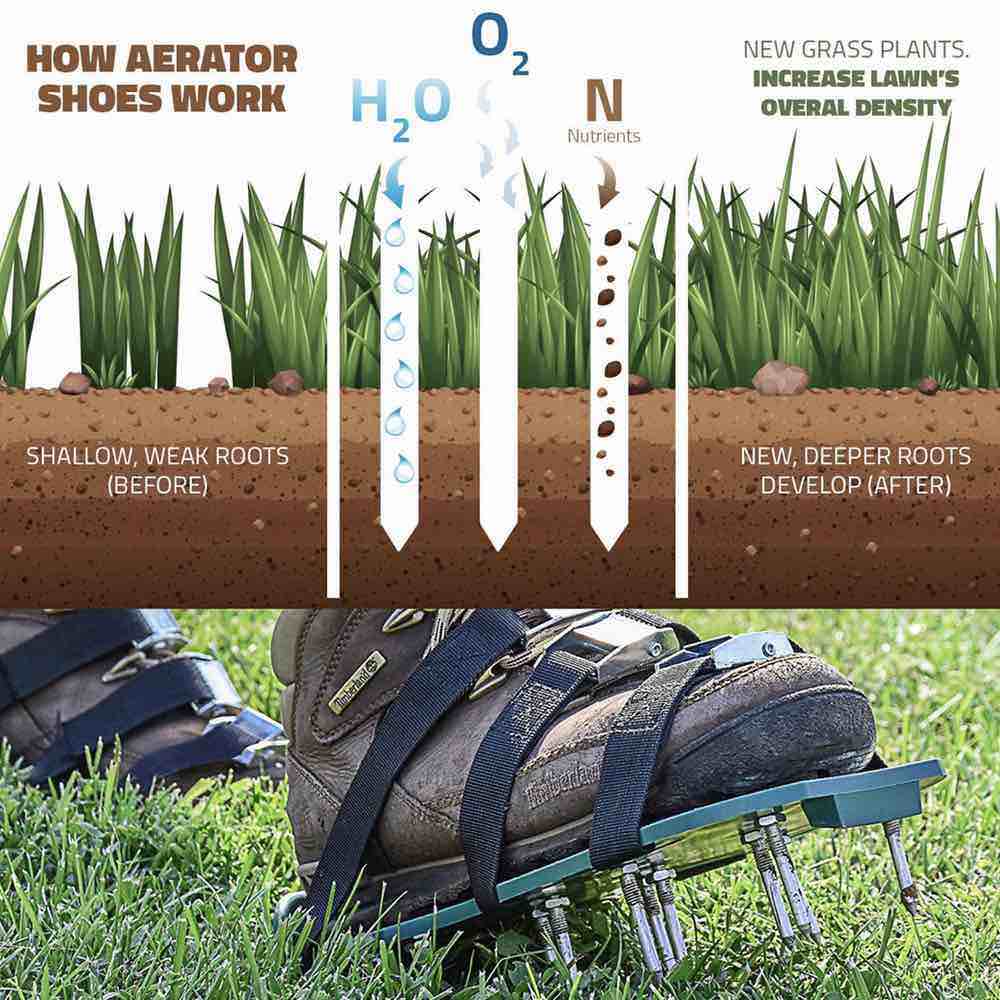 Aerator Grass Shoes: image 4