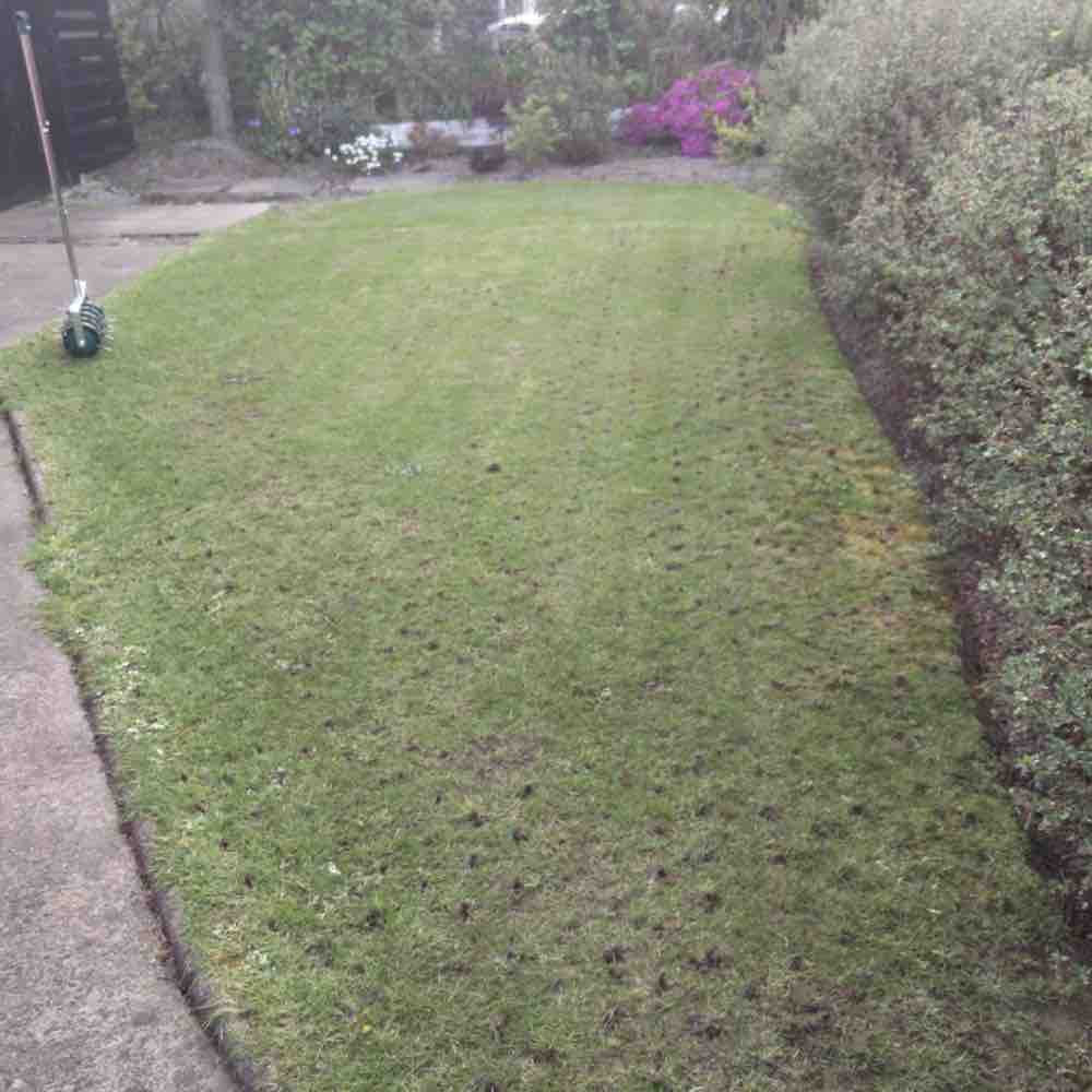 Rolling Aerator: image 5