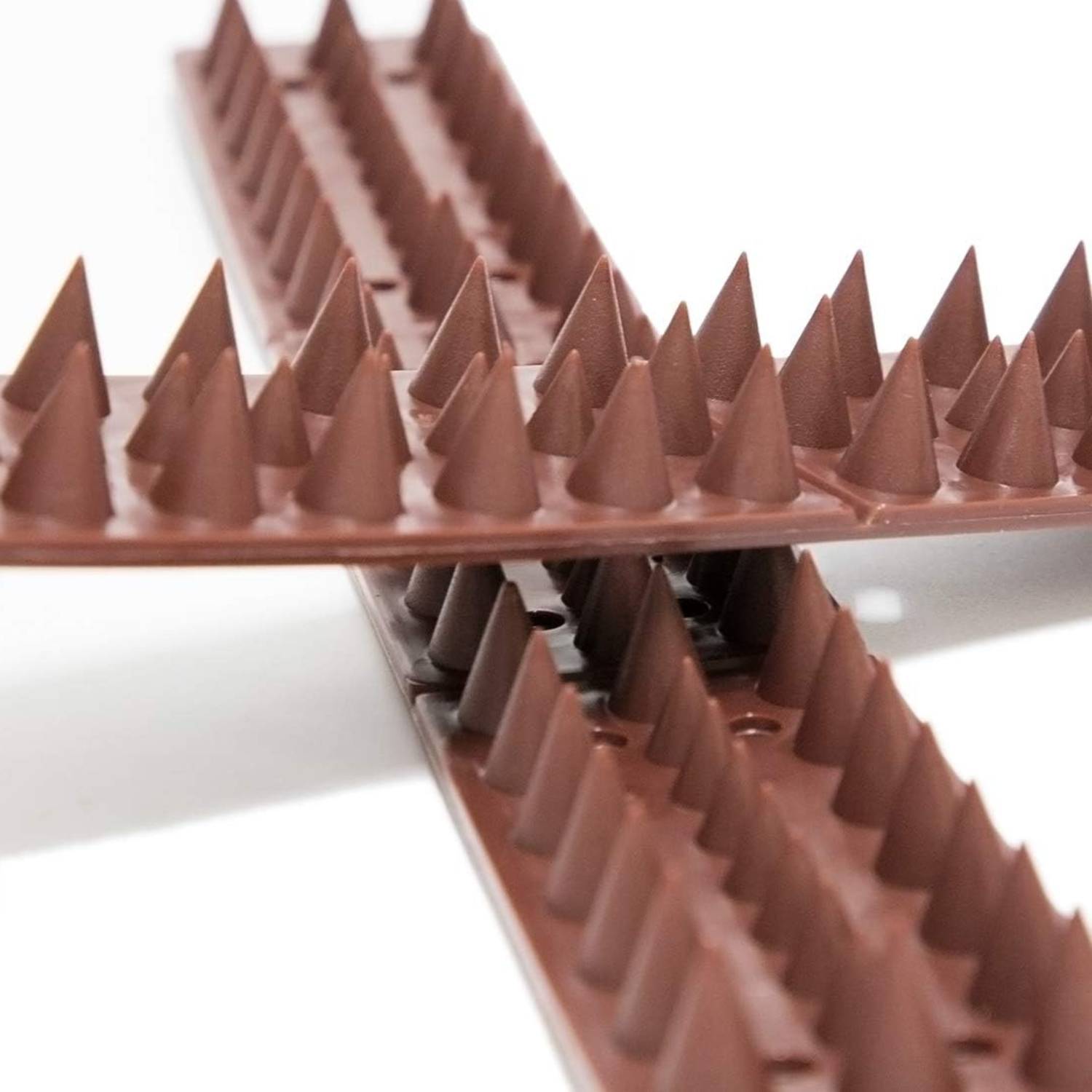 Cat Prevention Spikes