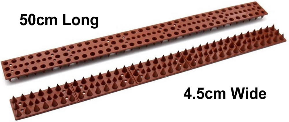 Squirrel Spikes: image 2