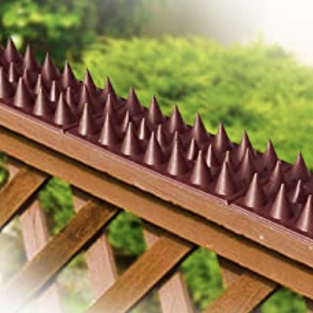 Squirrel Spikes: image 4