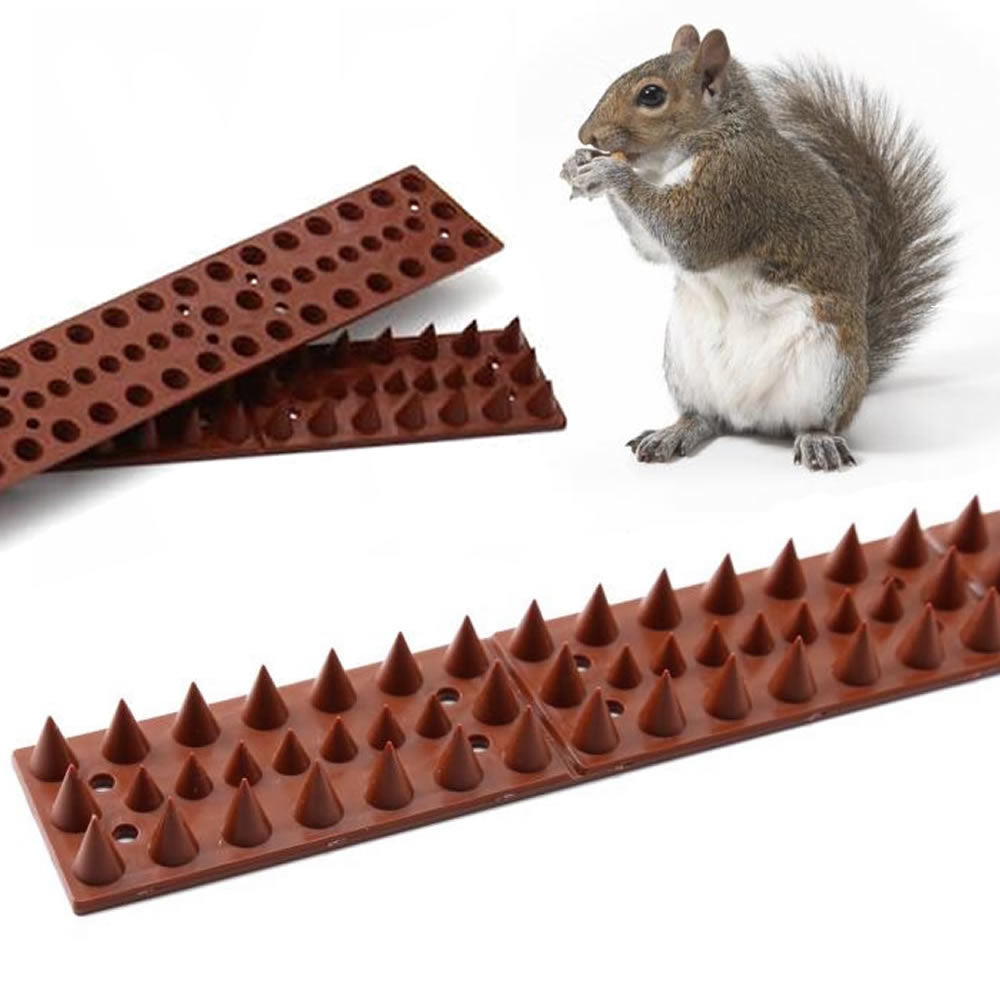 Squirrel Spikes