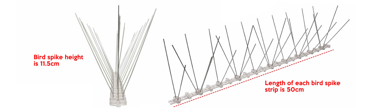 Bird Pigeon Spikes: image 5