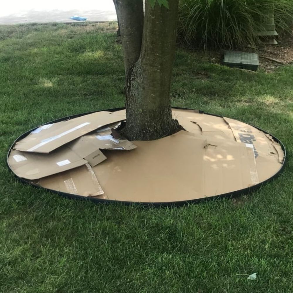 Plastic Lawn Edging: image 11