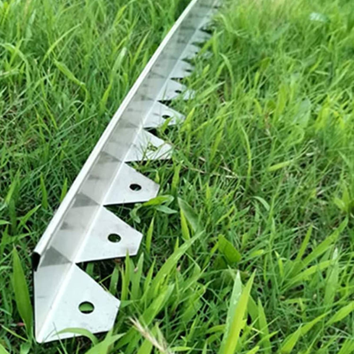 Stainless Steel Garden Edge - 50mm Face Height (per m): image 4