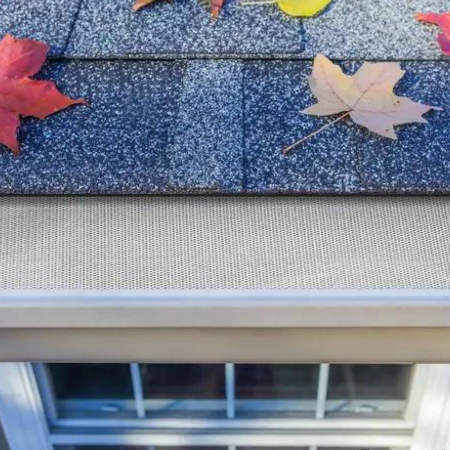 Gutter Guards