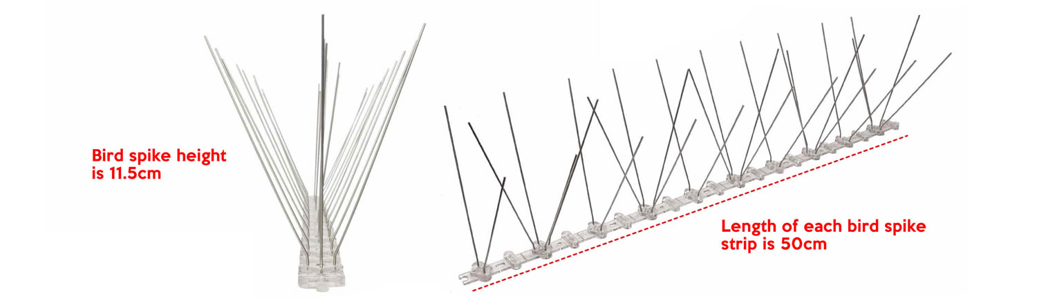 where to buy stainless steel bird spikes online