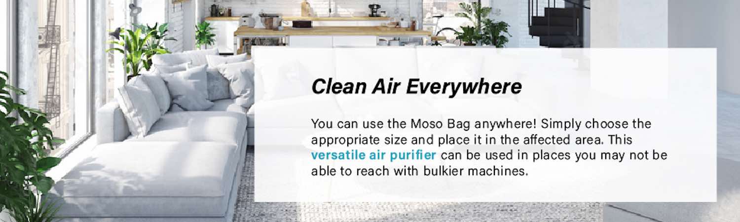 non toxic air cleaning solution 